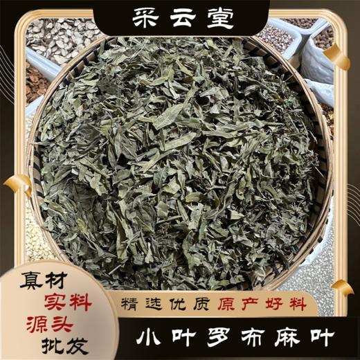 罗布麻 商品图0