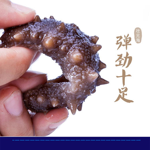 VY壮元海辽刺参特惠组 商品图4