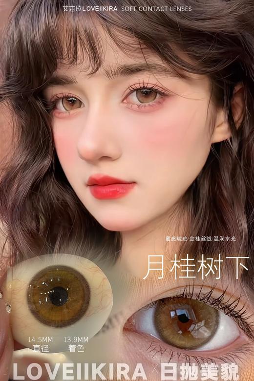 Loveiikira 月桂树下 10片装/盒（日抛型） 商品图0