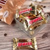 俄罗斯阿孔特亚米拉巧克力味夹心糖果-450g 商品缩略图2