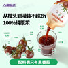 【黑番茄原浆】大漠紫光 浓缩原浆鲜榨番茄汁 花青素饮品  30ml*15袋/盒 商品缩略图5