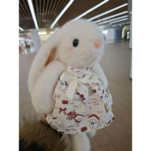 小号田园兔毛绒公仔-纪念日百货门店同款168898256 商品图2