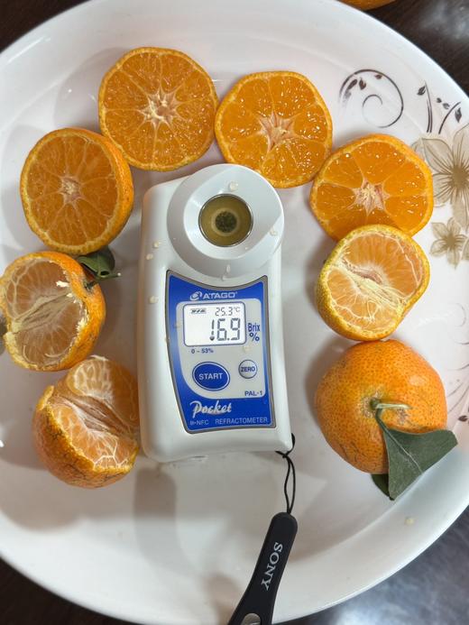 【2.8截单】年货节【9斤装】广西西林沙糖桔，顺丰【⚠️温馨提醒🔔快递路上冻坏不做售后】 商品图1