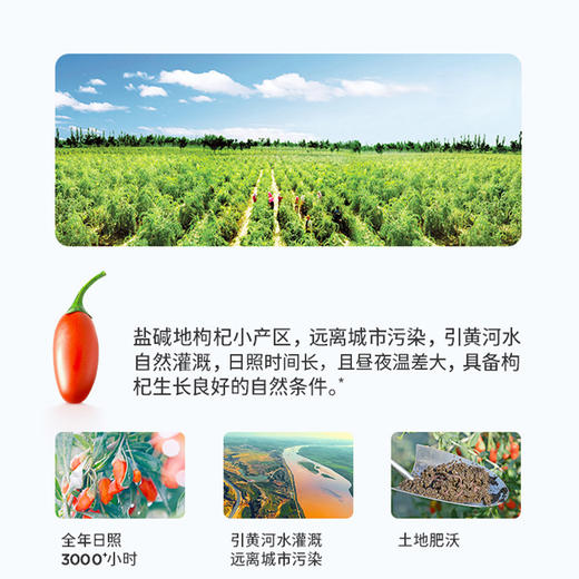 红枸杞原浆900ml礼盒30ml*30袋 商品图3