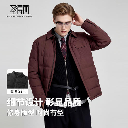 【鹅绒】圣得西个性潮款2025年冬季男士羽绒服翻领轻薄保暖外套 商品图2