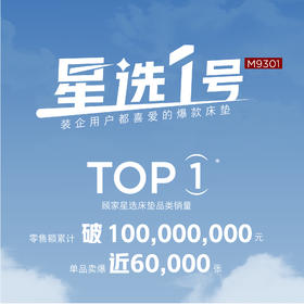 顾家家居整装床垫M9301