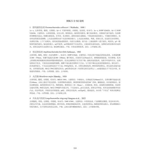 中国新近纪地层及标志化石图集/中国中一新生代地层及标志化石图集/邓涛 等著/浙江大学出版社 商品图2