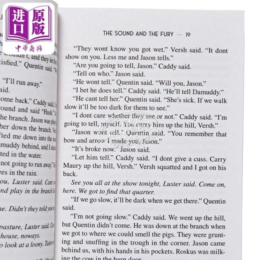 【中商原版】喧哗与骚动 福克纳 康普生家族 开创性小说 The Sound and the Fury 英文原版 William Faulkner 商品图2