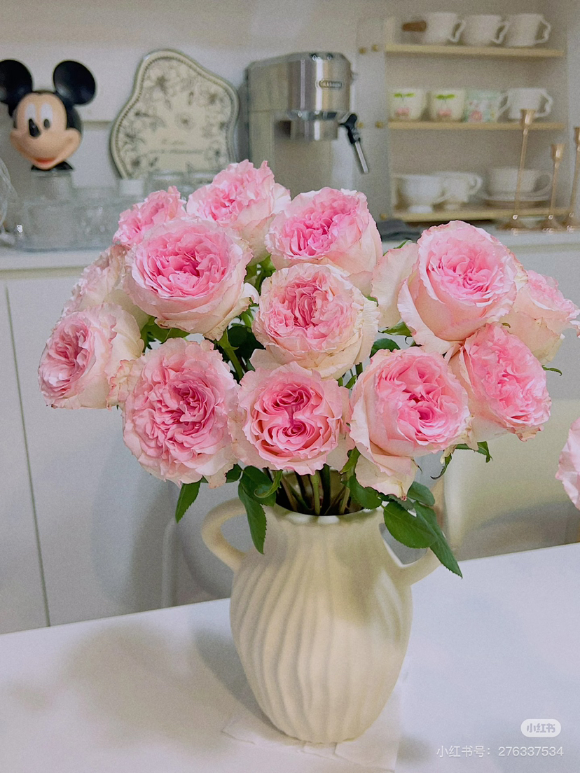 预售15号到货 单头洛神玫瑰,一扎10支 支长55厘米