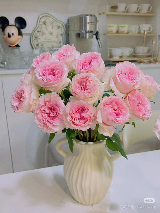 预售15号到货 单头洛神玫瑰,一扎10支 支长55厘米 商品图0