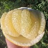 生态丑柚（象宝柚/药柚）| 基地直发* Ecological  pomelo 商品缩略图2