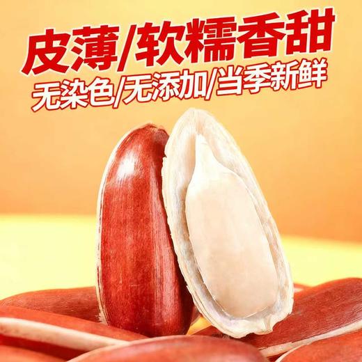 【水果瓜子】云南红皮瓜子 源自云贵高原 软糯香甜 越嗑越香 好吃不上火  春节年货坚果之选 102克/袋 商品图0