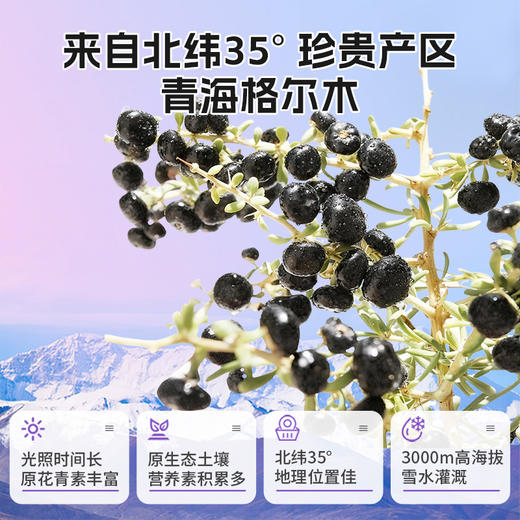 黑枸杞原浆210ml/盒 商品图3