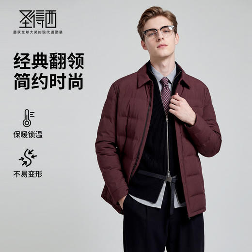 【鹅绒】圣得西个性潮款2025年冬季男士羽绒服翻领轻薄保暖外套 商品图0