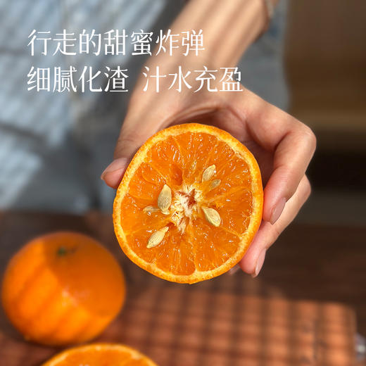 【特别福利29.9元4斤装！后面日常会涨价！】【新鲜成熟正当季 云南沃柑】行走的甜蜜水分炸弹‼ 农家肥灌溉，半野生品质~ 商品图1
