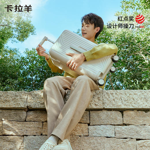 【云朵箱2.0标准版】卡拉羊鎏金板材魔方体行李箱6维防刮抗摔CX8133 商品图11