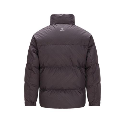 272223迪欧达法国白鸭绒蓬松立领男士羽绒服 商品图3