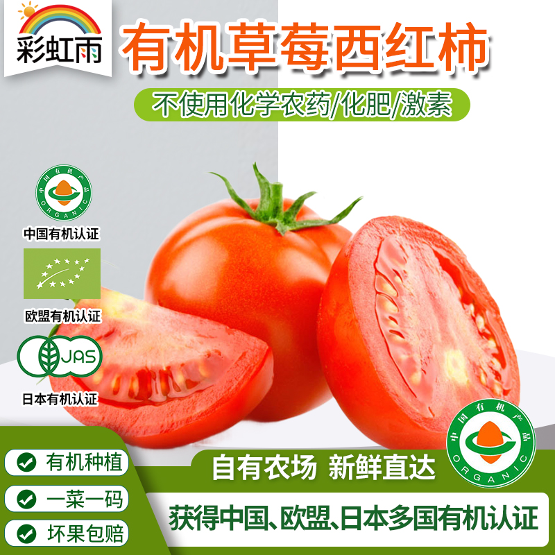 新鲜现摘有机蔬菜草莓西红柿500g番茄欧盟有机认证