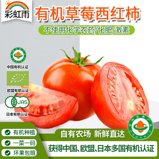 新鲜现摘有机蔬菜草莓西红柿500g番茄欧盟有机认证 商品图0