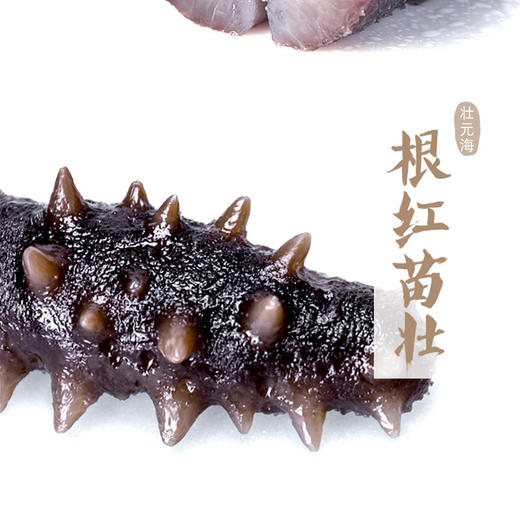 VY壮元海辽刺参特惠组 商品图2