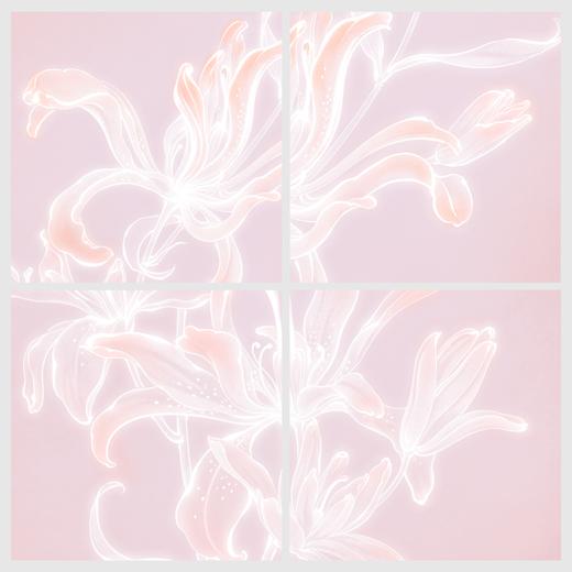 LILY OF THE VALLEY —— THE MR DANIEL 限量版画（非偏包邮） 商品图1