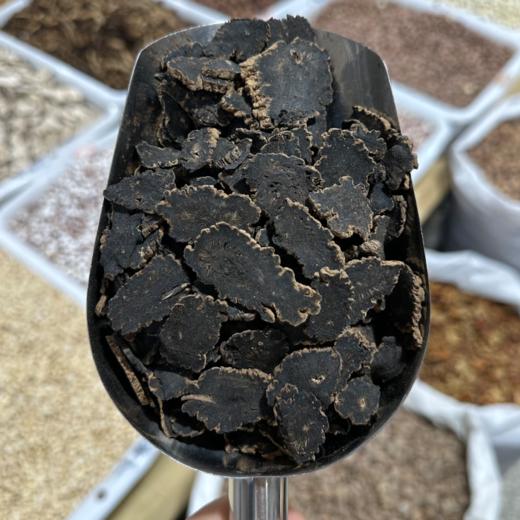 玄参 常用规格 元参片 切片 商品图4