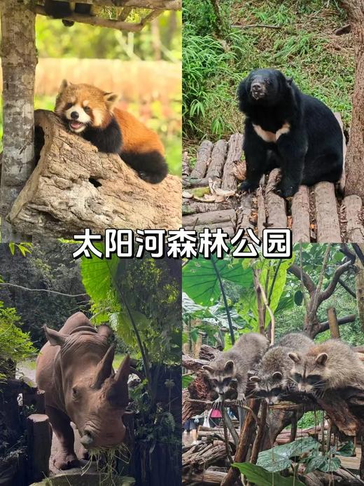【定制】昆明-上海二等座补差升级一等座 商品图3