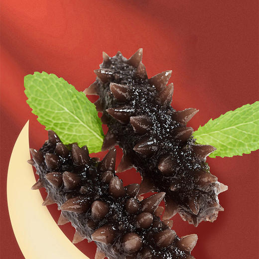 VY壮元海辽刺参特惠组 商品图5