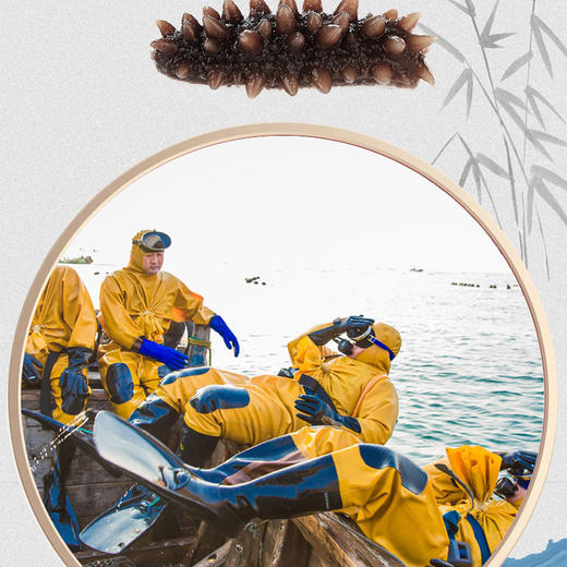 VY壮元海辽刺参特惠组 商品图6