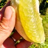 生态丑柚（象宝柚/药柚）| 基地直发* Ecological  pomelo 商品缩略图3