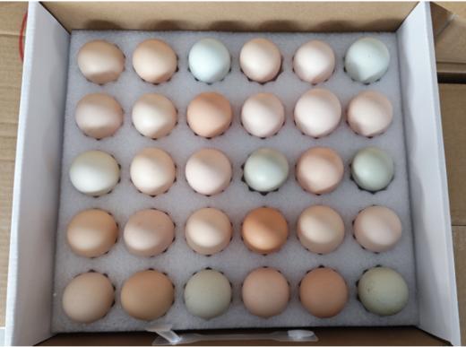 屈乡小农女 农家五彩鸡蛋30枚 秭归 商品图4