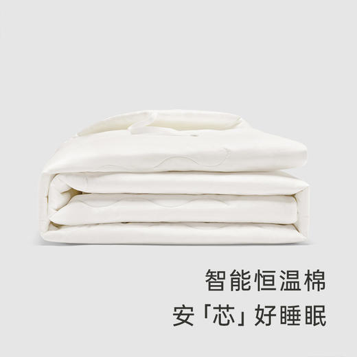 英氏婴幼儿恒温薄被芯宝宝保暖全棉被子四季通用YEBXJ0P001A 商品图1