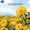 戴可思婴儿金盏花面霜50g 商品缩略图12