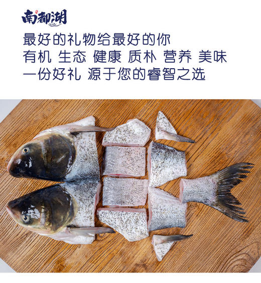 南都湖有机大鱼礼箱 活鱼捕捞原切鲜鱼肉液氮速冻锁鲜6斤/10斤装 商品图1