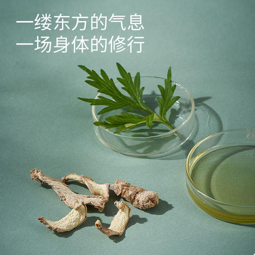 乐活田园姜艾身体按摩油 商品图1