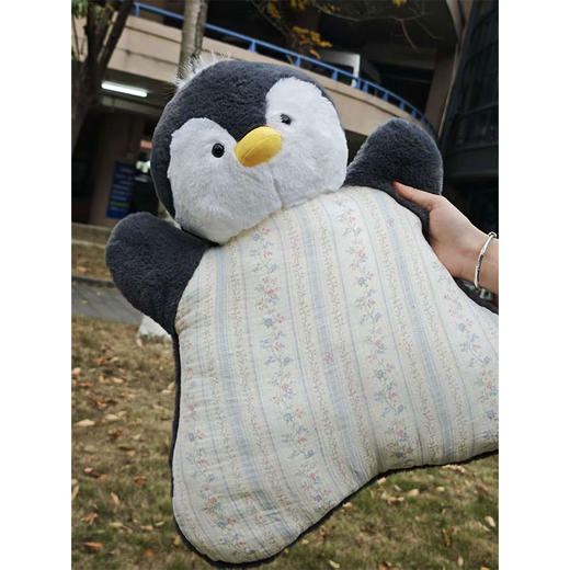 ZY豆袋抱枕-纪念日百货门店同款168898301 商品图2