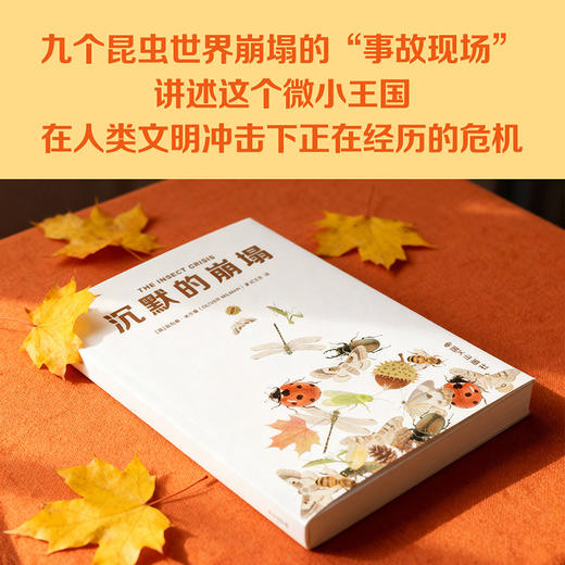 沉默的崩塌（《寂静的春天》式预警，《卫报》记者追踪昆虫世界20年实录） 商品图2