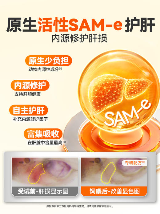 普安特宠物肝宝片狗狗猫咪肝炎肝病肝功能受损胆囊炎症肝脏糖尿病(产品升级） 商品图2