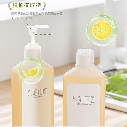 乐活田园生态洗碗液 商品图1