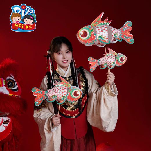 M6-260179 旺家锦鲤鱼灯 商品图0