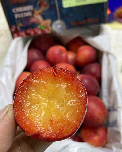 空运樱桃李礼盒装（5斤） 商品图0