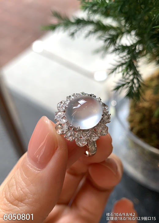 6050801，蛋面戒指。具体价格微信咨询 商品图0