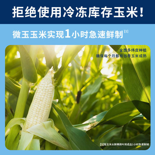 微玉 马卡龙玉米 黑糯+黄糯+低GI白甜玉米段 真空包装  非转基因 商品图3