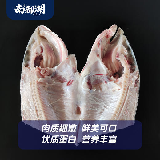 南都湖有机大鱼礼箱 活鱼捕捞原切鲜鱼肉液氮速冻锁鲜6斤/10斤装 商品图3