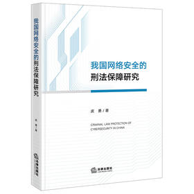 我国网络安全的刑法保障研究 皮勇著 法律出版社