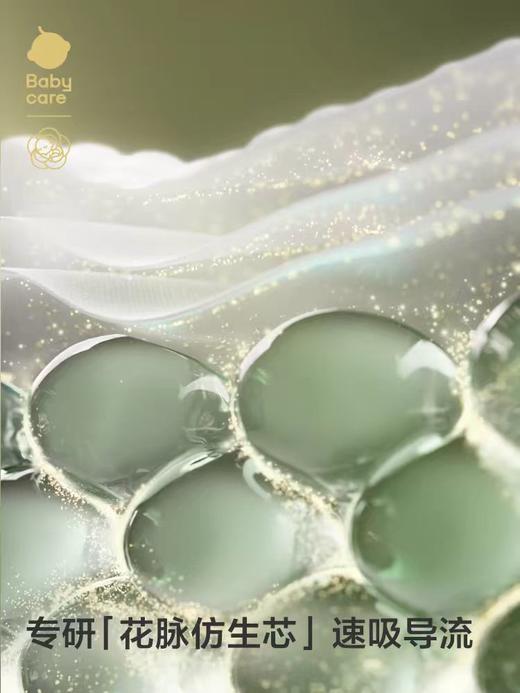 babycare短裤式纸尿裤山茶花苞系列XXL30片/BBC-442919 商品图6