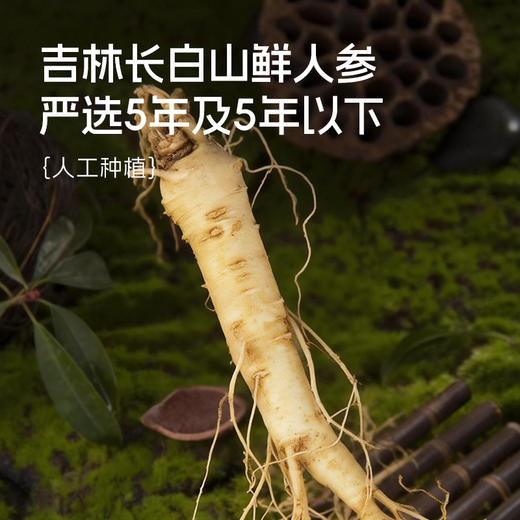 人参+枸杞原浆经典款50ml*6瓶/盒 商品图4