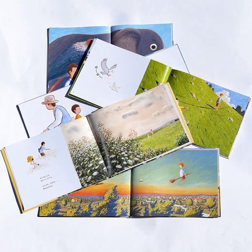 第35届陈伯吹国际儿童文学奖“华语新人奖:得主大吴图画书作品精选 （5册） 商品图8