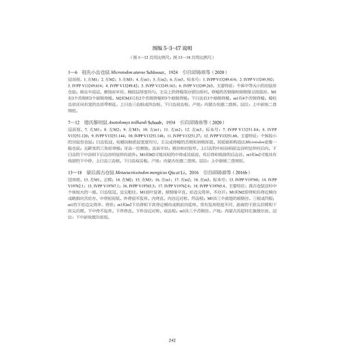 中国新近纪地层及标志化石图集/中国中一新生代地层及标志化石图集/邓涛 等著/浙江大学出版社 商品图4