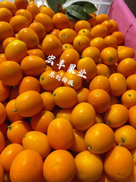 宏丰精选  阳塑金桔，口感甜，活动价9.9元一斤